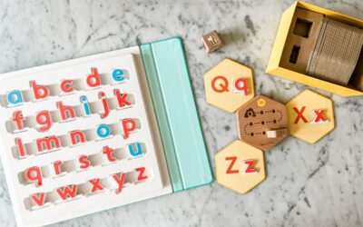 My Prime Day Favorites