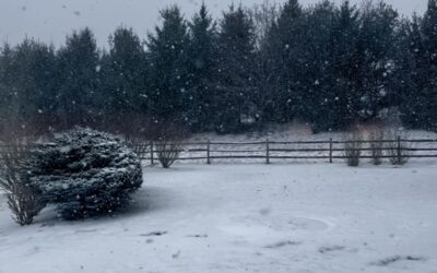 Snow Many Activities