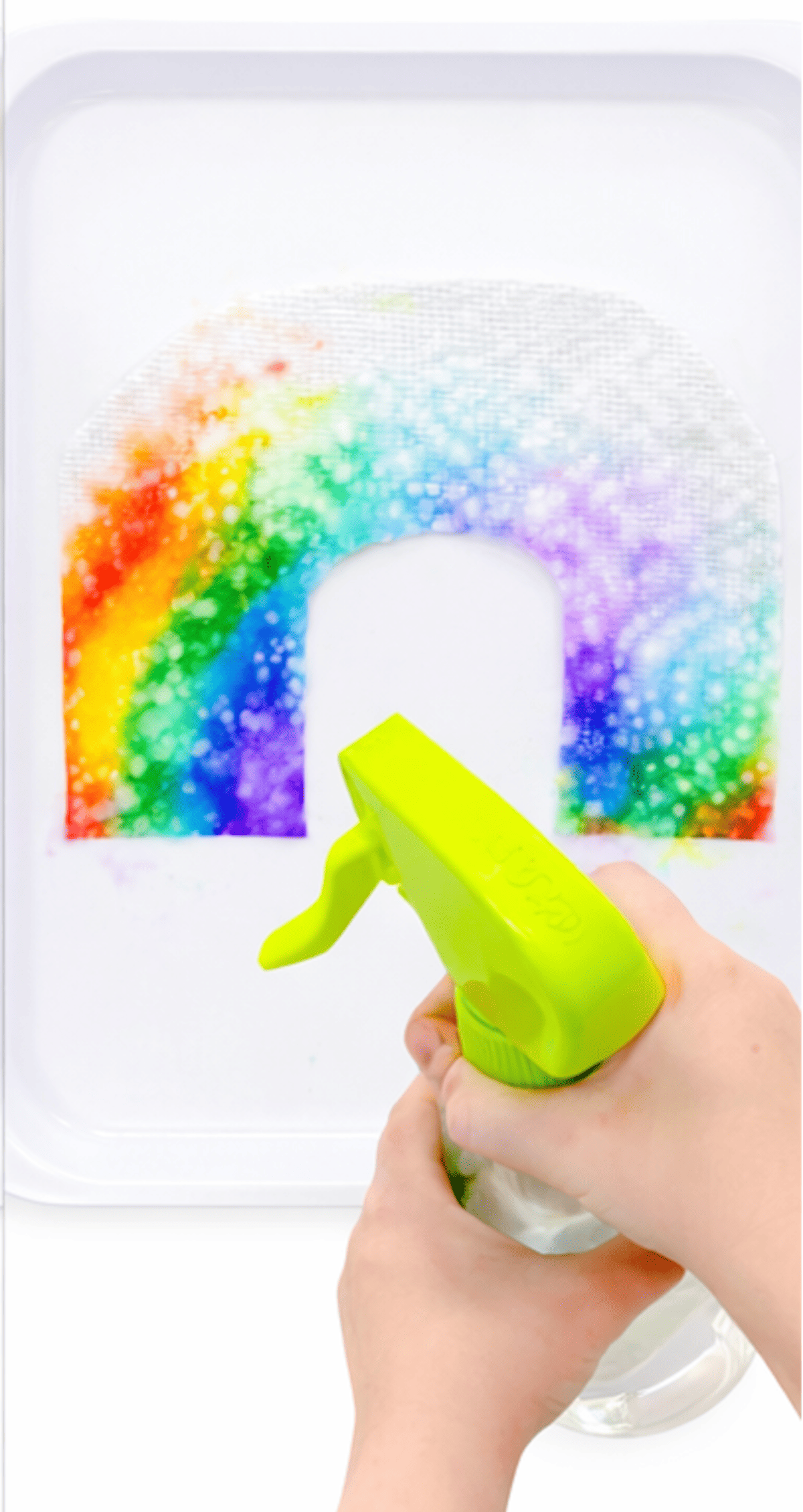 Rainbow STEM Paper Towel Activity