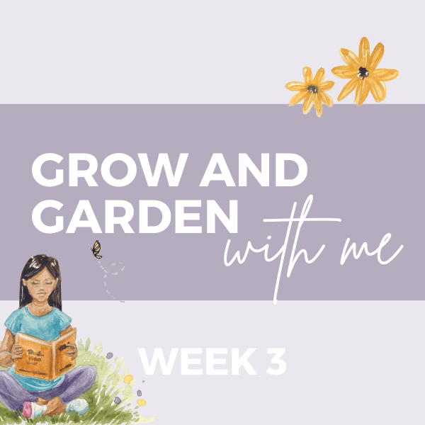 The Sandbox Week 3 - Garden and Grow