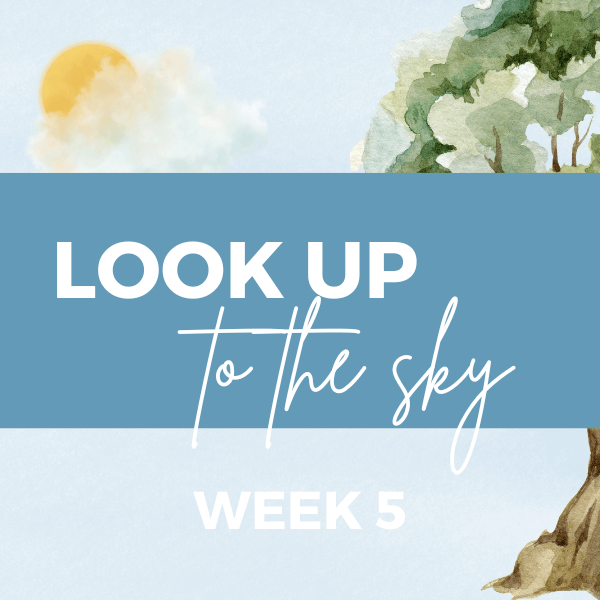 The Sandbox Week 5 - Look Up to the Sky