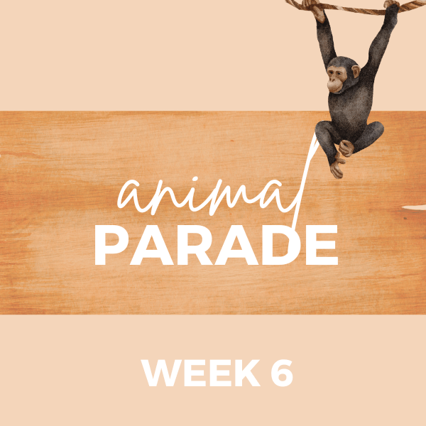 The Sandbox Week 6 - Animal Parade
